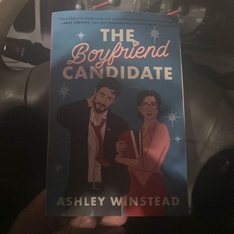 The Boyfriend Candidate
