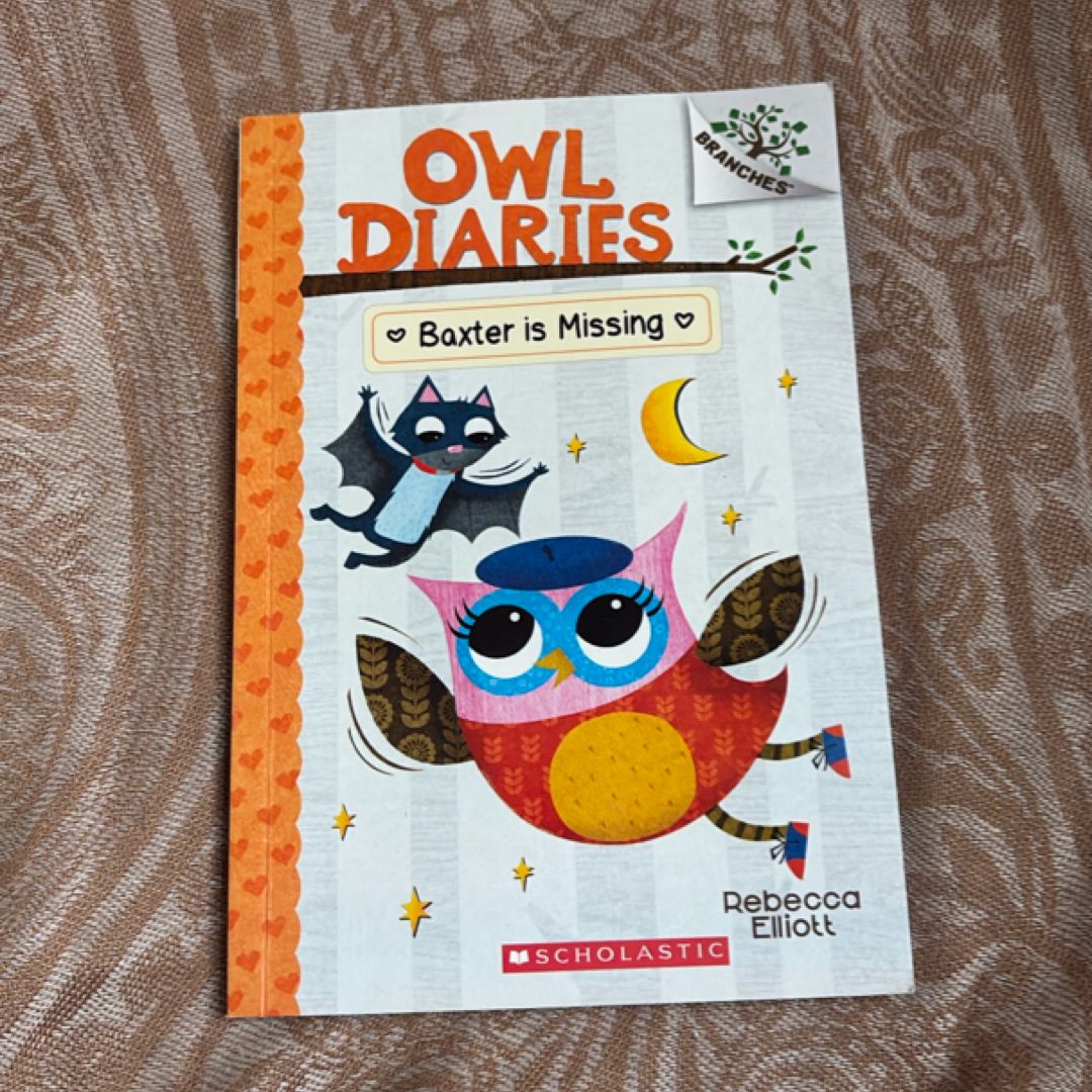 Baxter Is Missing - A Branches Book