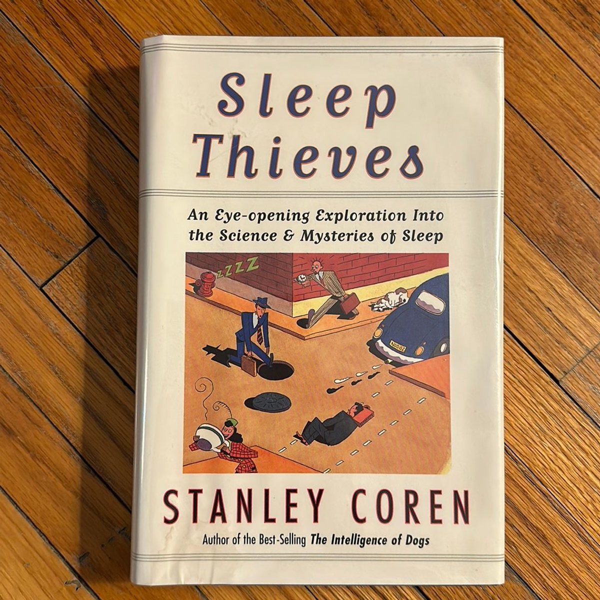 Sleep Thieves by Stanley Coren