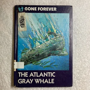 The Atlantic Gray Whale