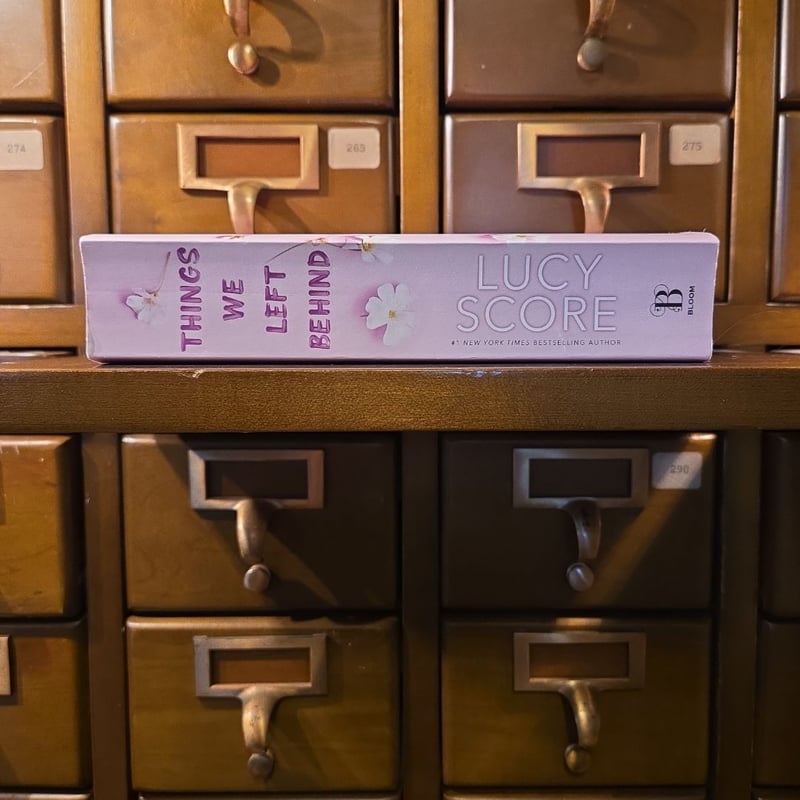 Things We Left Behind