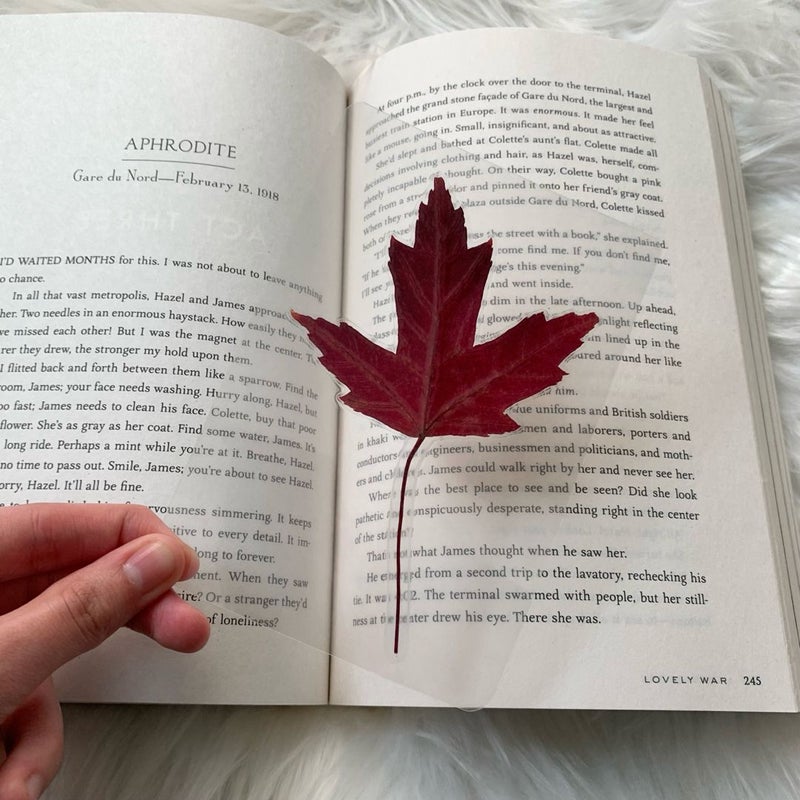 Handmade Real Pressed Red Leaf Bookmark