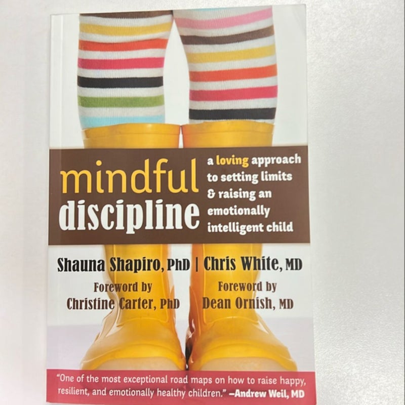 Mindful Discipline