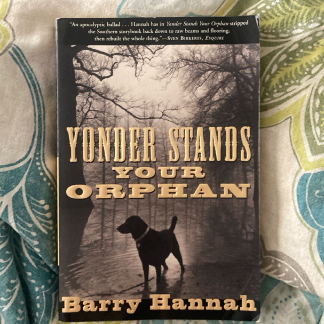 Yonder Stands Your Orphan