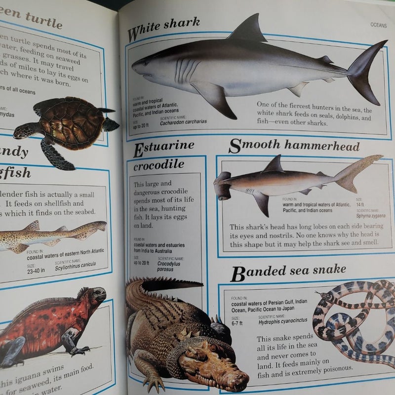 Animal Encyclopedia for Children