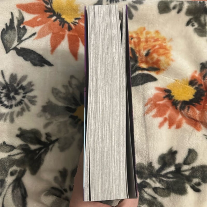 Vagabond (VIZBIG Edition), Vol. 9