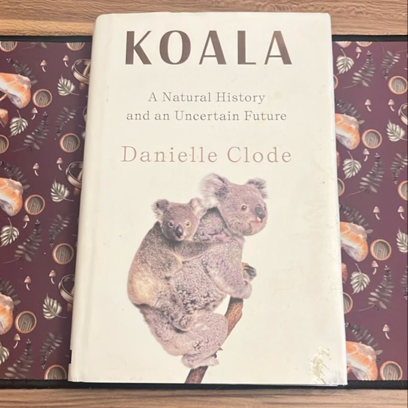 Koala