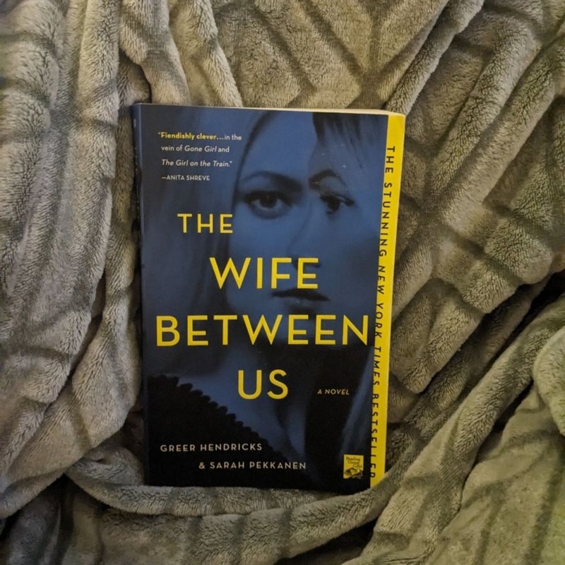 The Wife Between Us