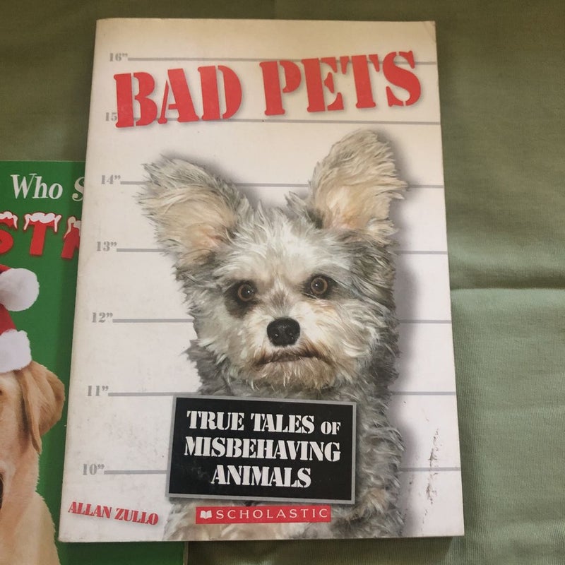 Bad Pets Book Set
