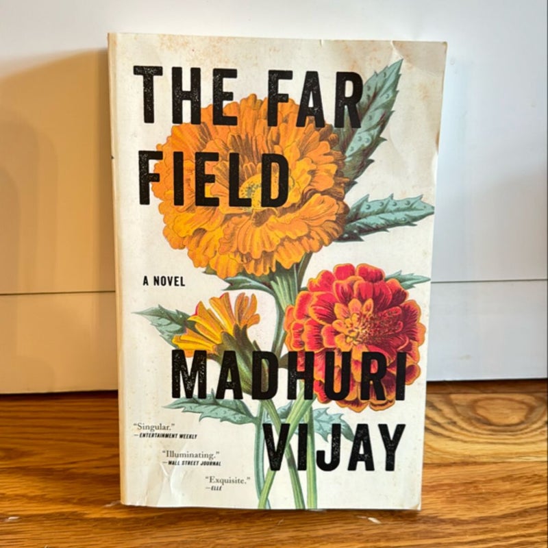 The Far Field