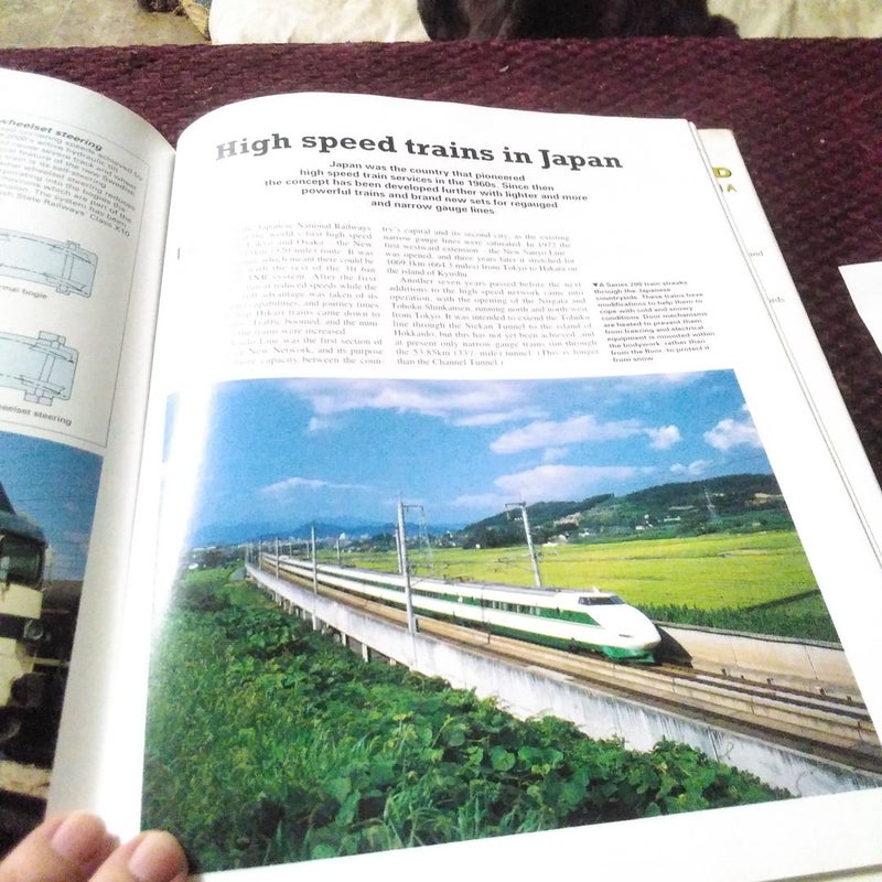 The Railroad Encyclopedia
