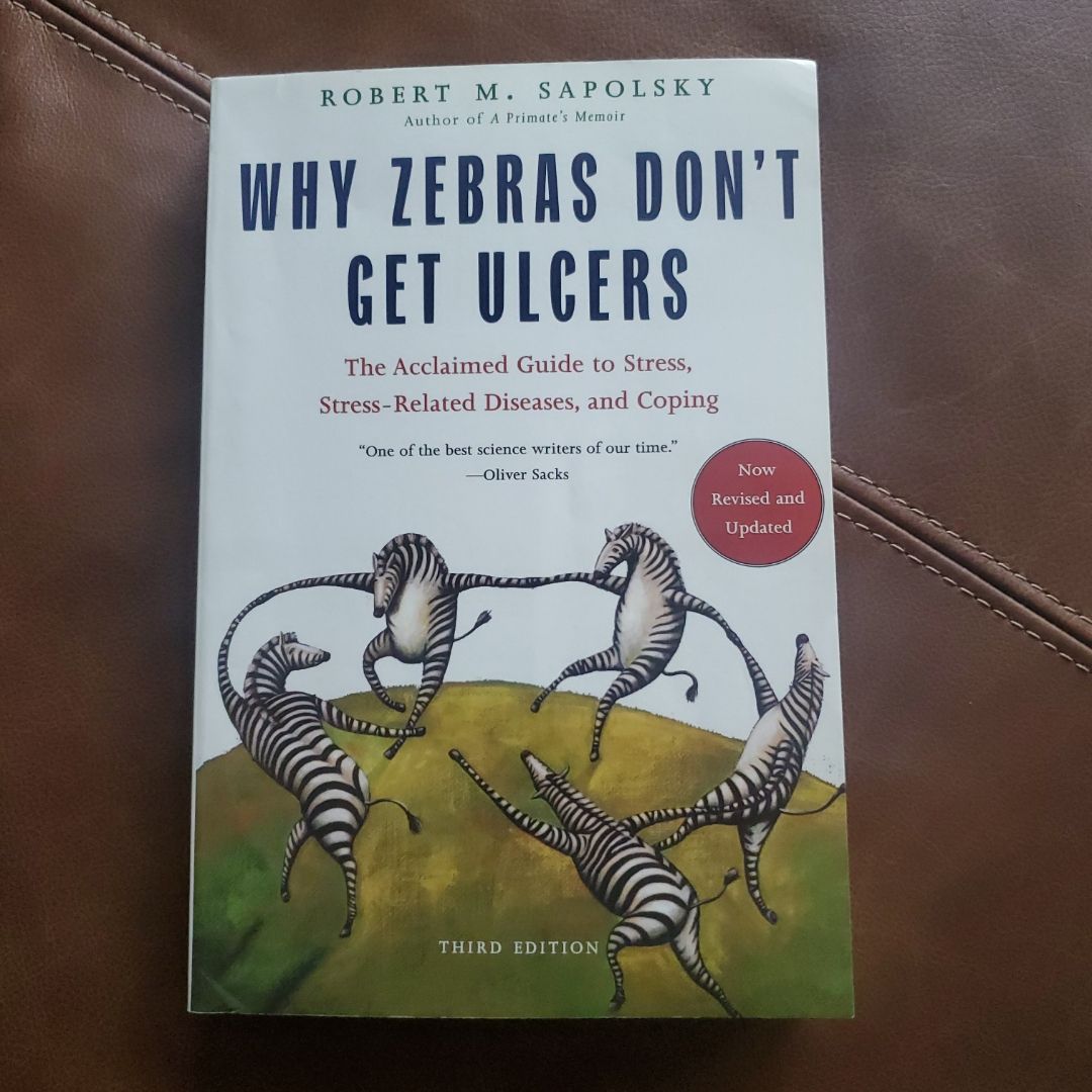 Sale image for c76a646a-791d-4683-bd1e-5ebb5fa184bf-UaJ4WO4GReO9XATMlWFc61rDIE42