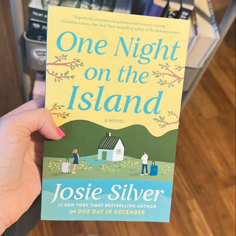 One Night on the Island