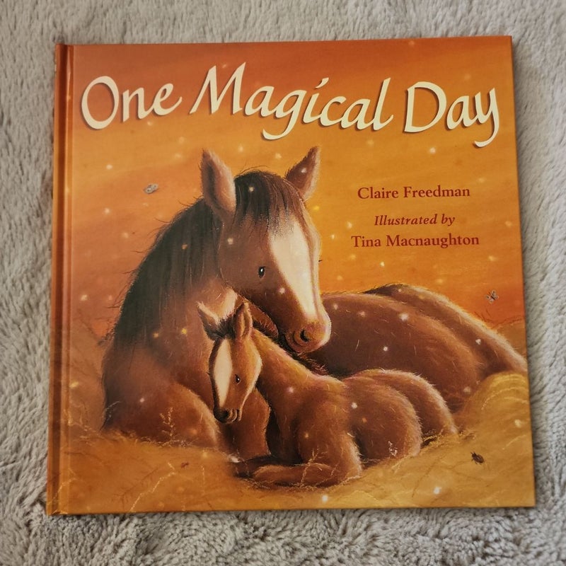 One Magical Day