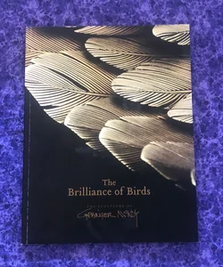 The Brilliance of Birds: The Sculpture of Grainger McKoy 