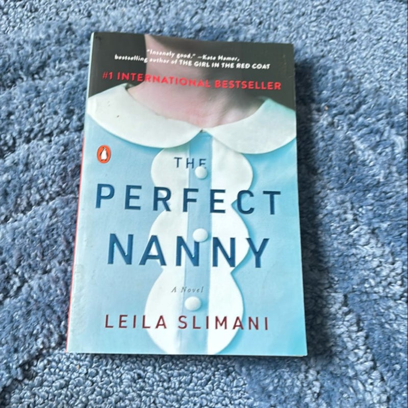 The Perfect Nanny