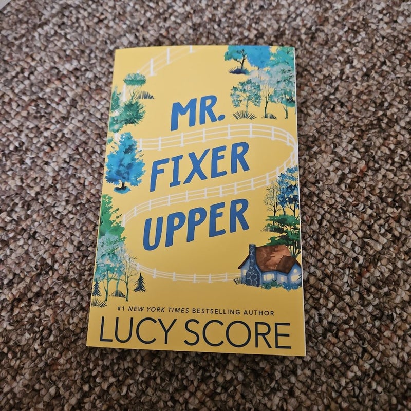 Mr. Fixer Upper