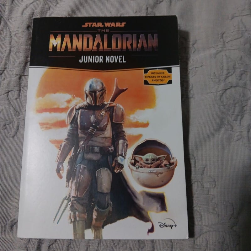 Star Wars: the Mandalorian Junior Novel