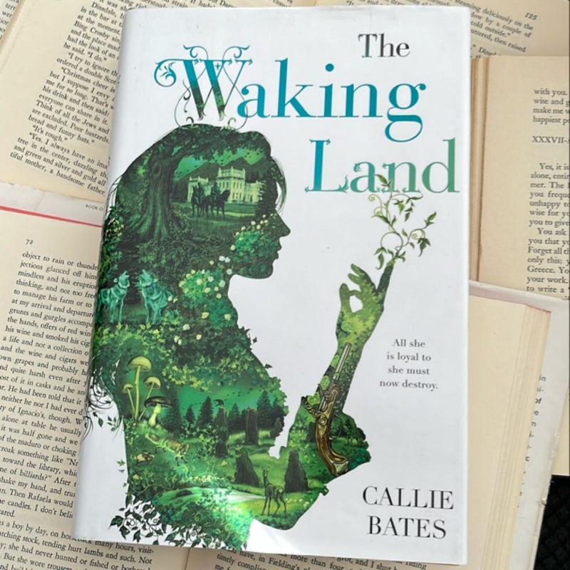 The Waking Land