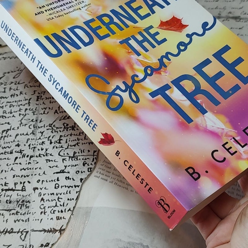 Underneath the Sycamore Tree