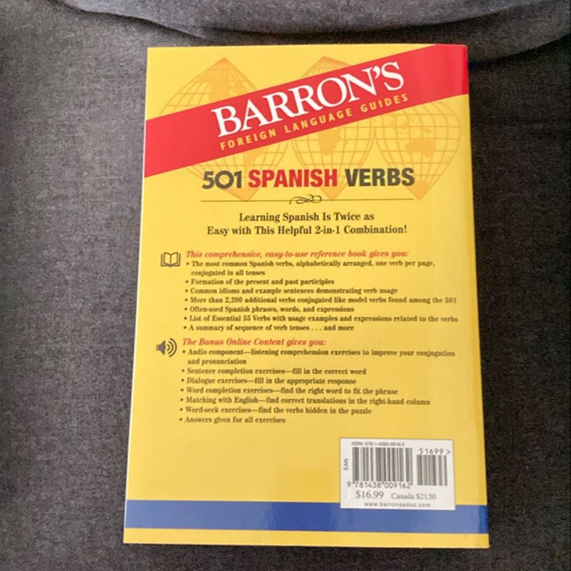 501 Spanish Verbs