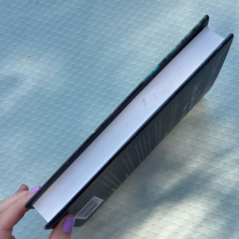 The Girl on the Train