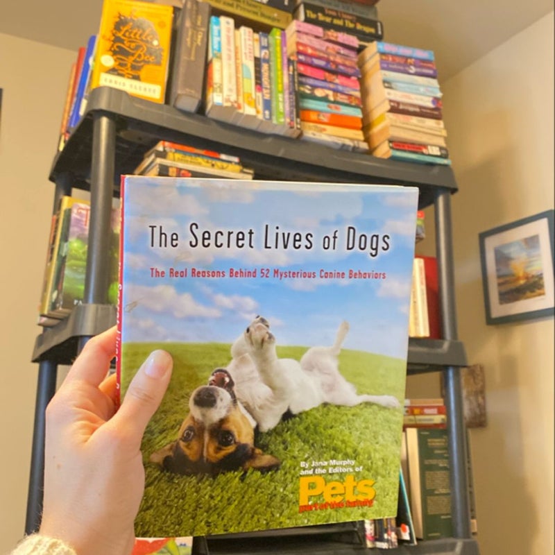 🐾 Five Dog Books 📚 