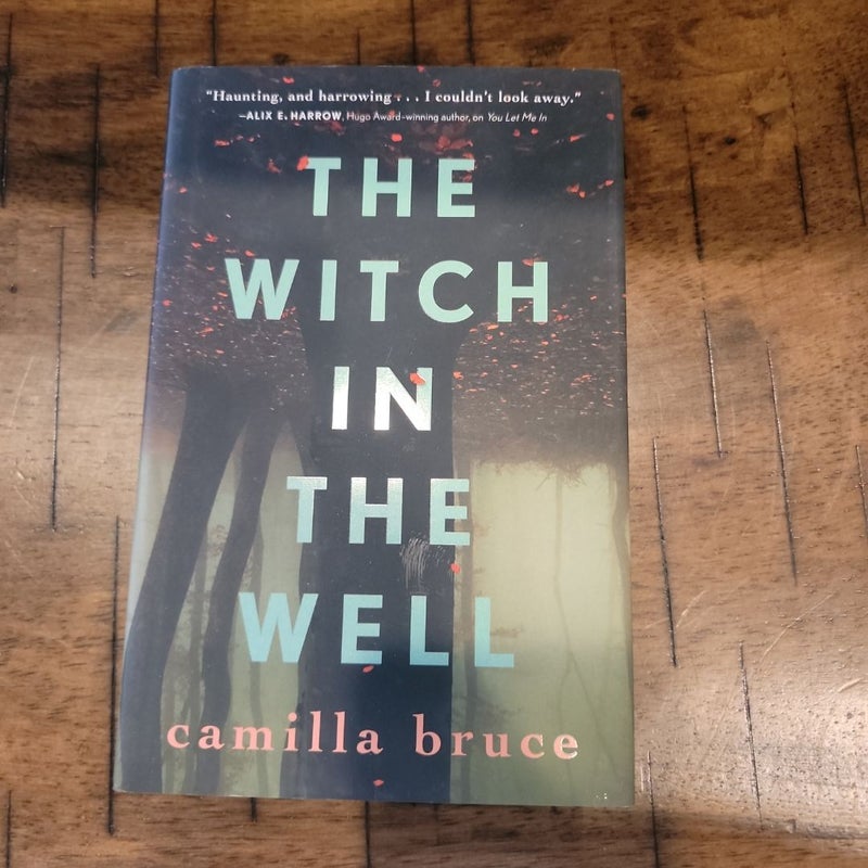 The Witch in the Well