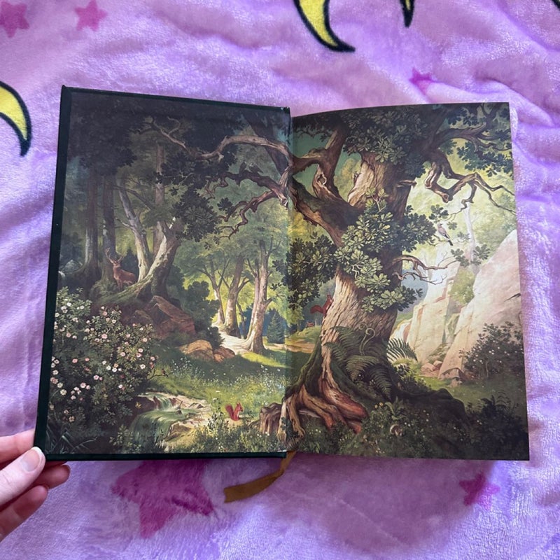 Grimm’s Fairytales (Barnes and Noble Special Edition)