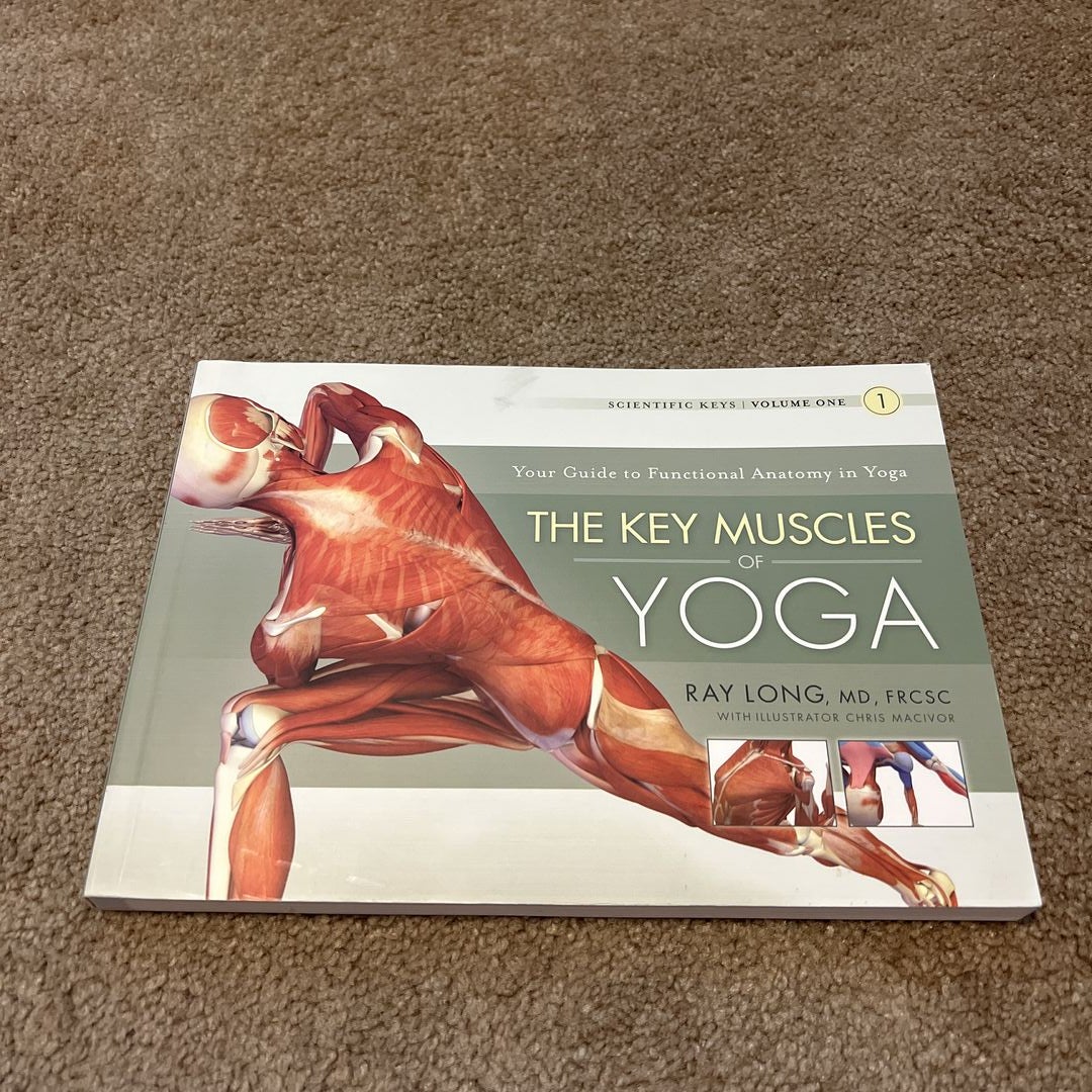 Key Muscles of Yoga