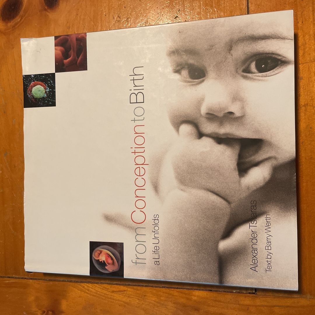 From Conception to Birth