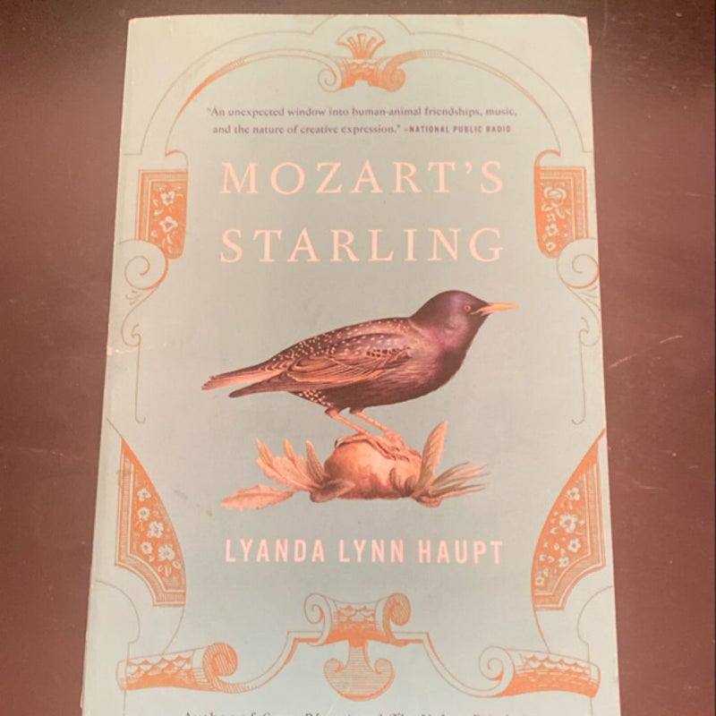 Mozart's Starling