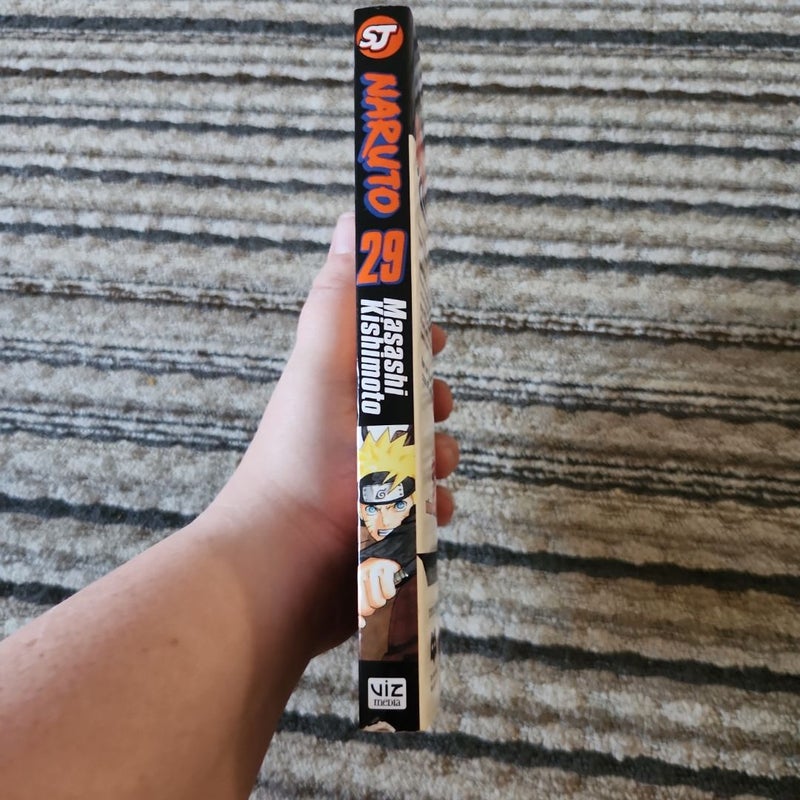 Naruto, Vol. 29