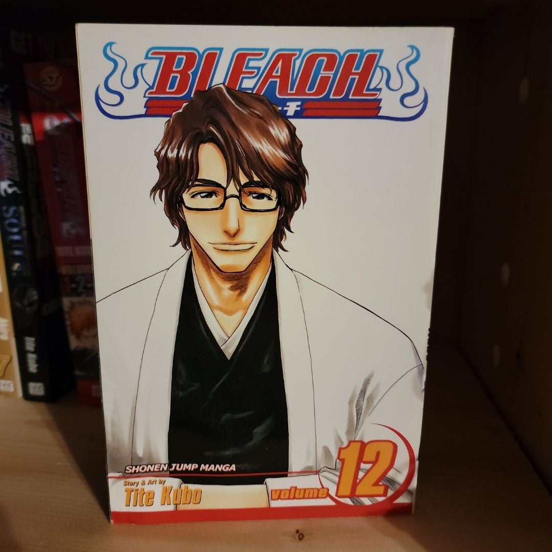 Bleach, Vol. 12 by Tite Kubo