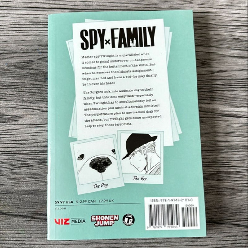 Spy X Family, Vol. 4