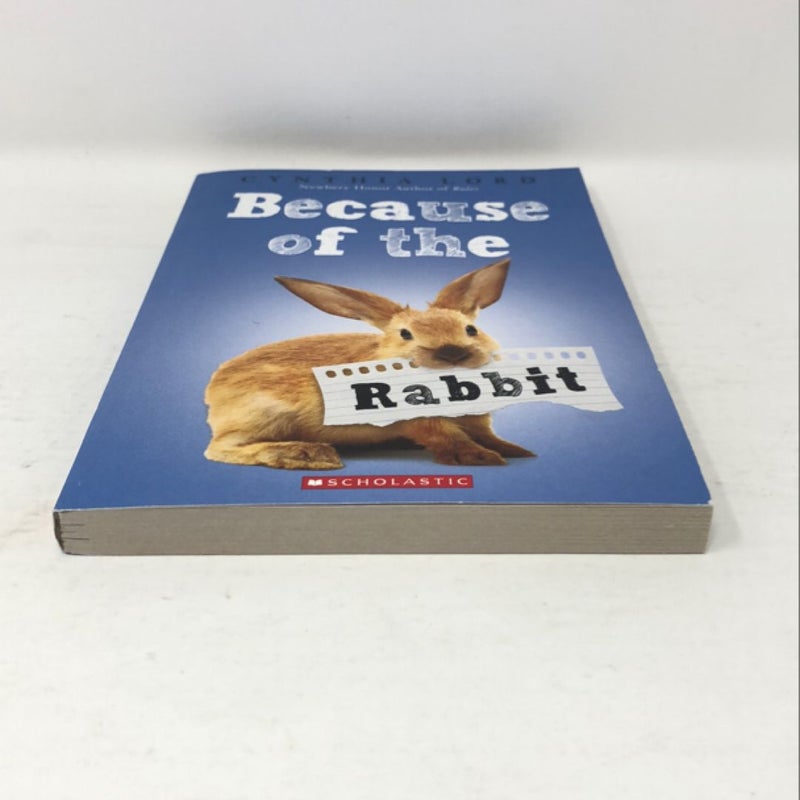 Because of the Rabbit