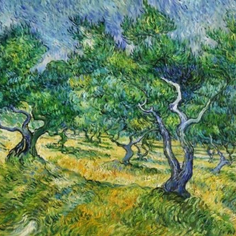 Van Gogh “Olive Grove” Painting Poster (unopened) 