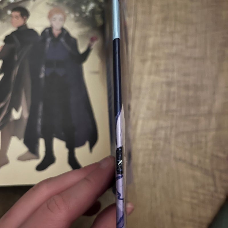 The ballad of never after fairyloot 