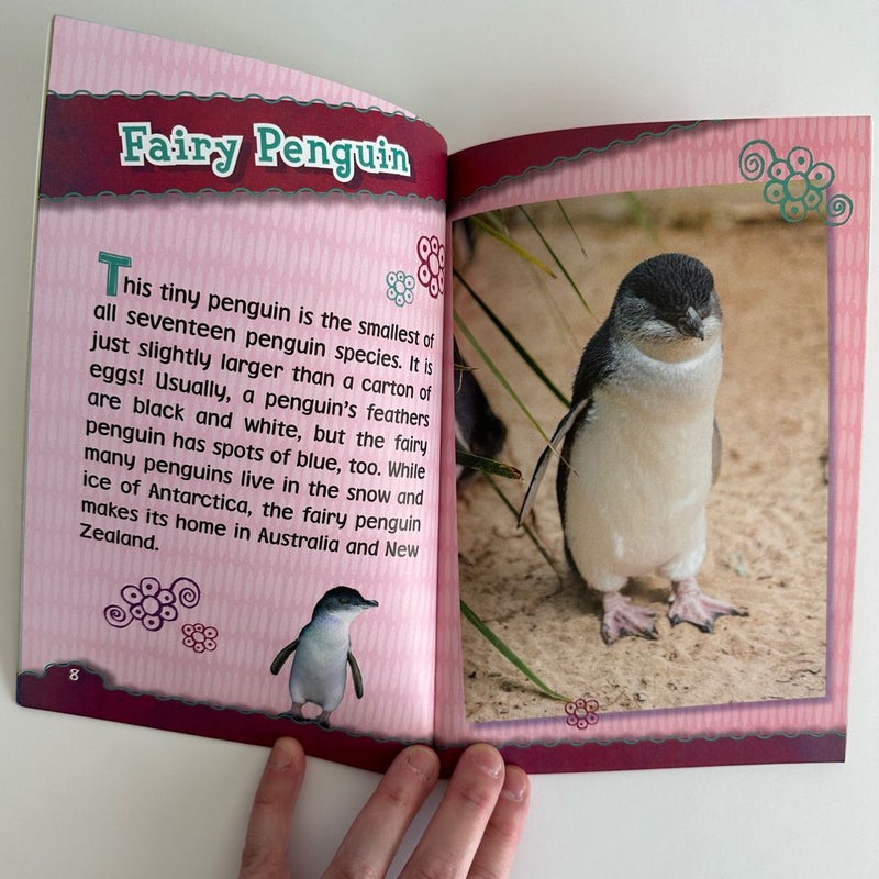 Teensy Weensy Animals