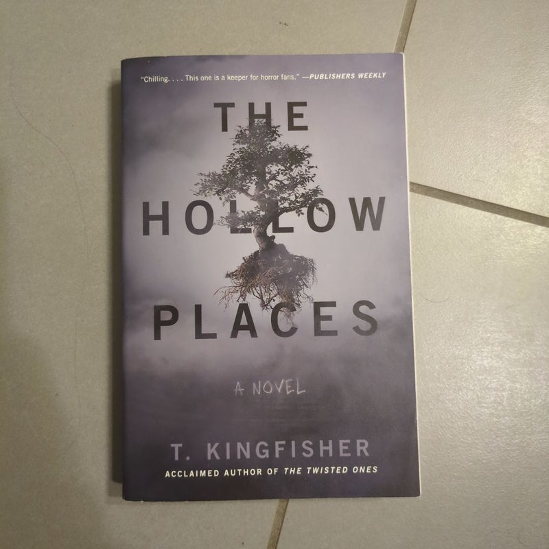 The Hollow Places