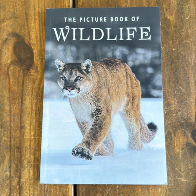 The Picture Book of Wildlife (Bundle)