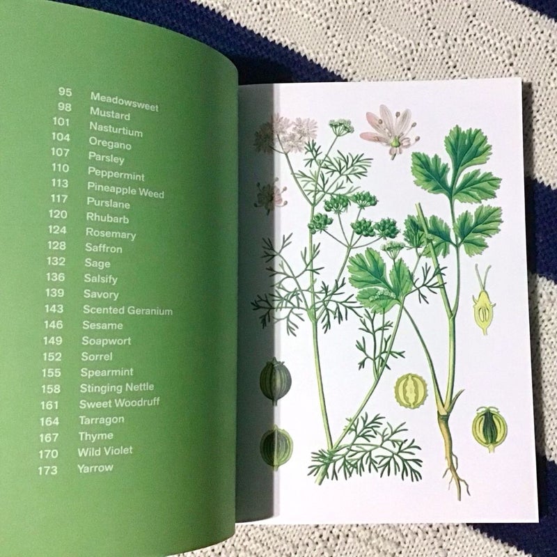 Herbal Handbook: 51 Profiles in Words and Art from the Rare Book and Folio Collections of The New York Botanical Garden