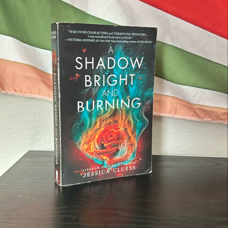 A Shadow Bright and Burning (Kingdom on Fire, Book One)