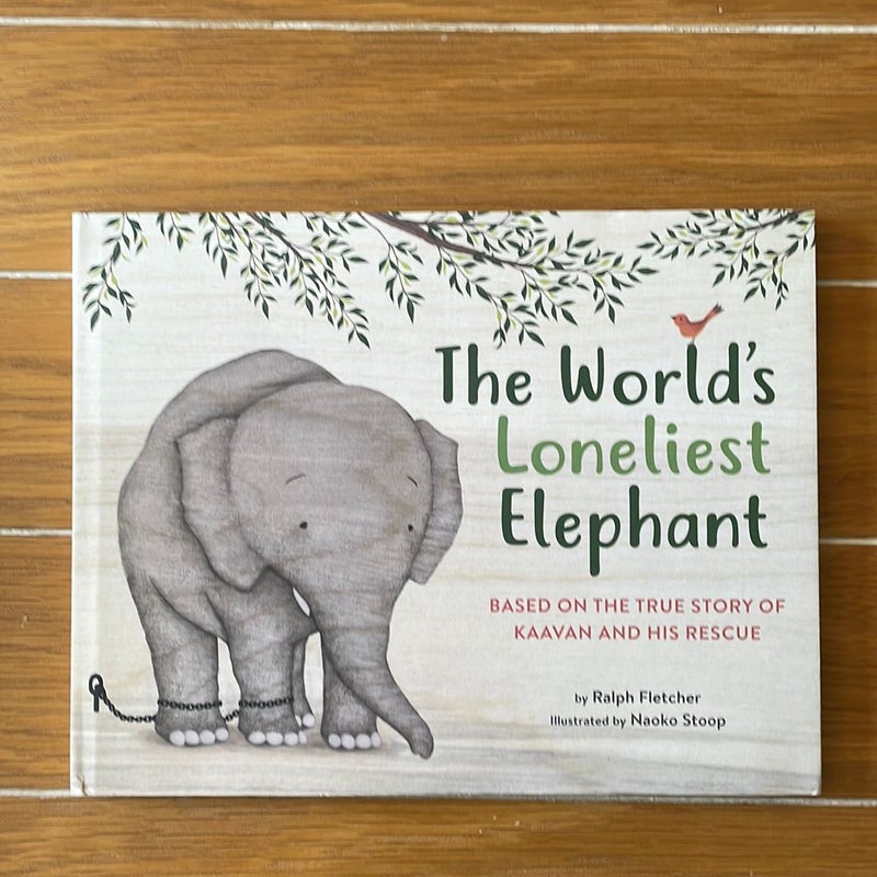 The World's Loneliest Elephant