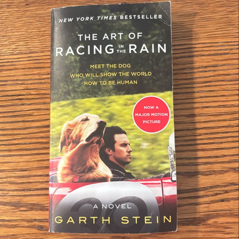 The Art of Racing in the Rain Movie Tie-In Edition