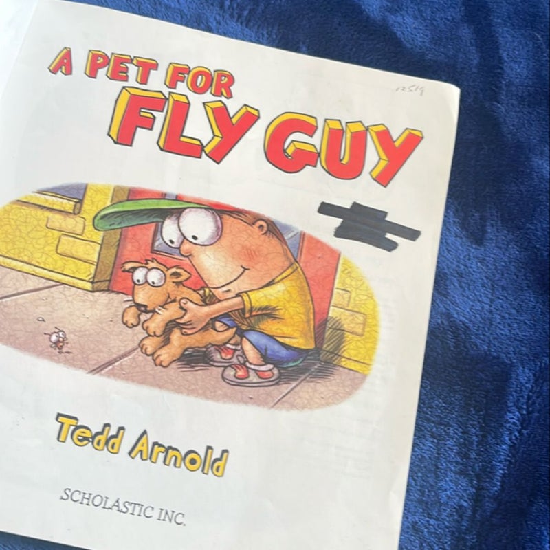 A Pet for Fly Guy