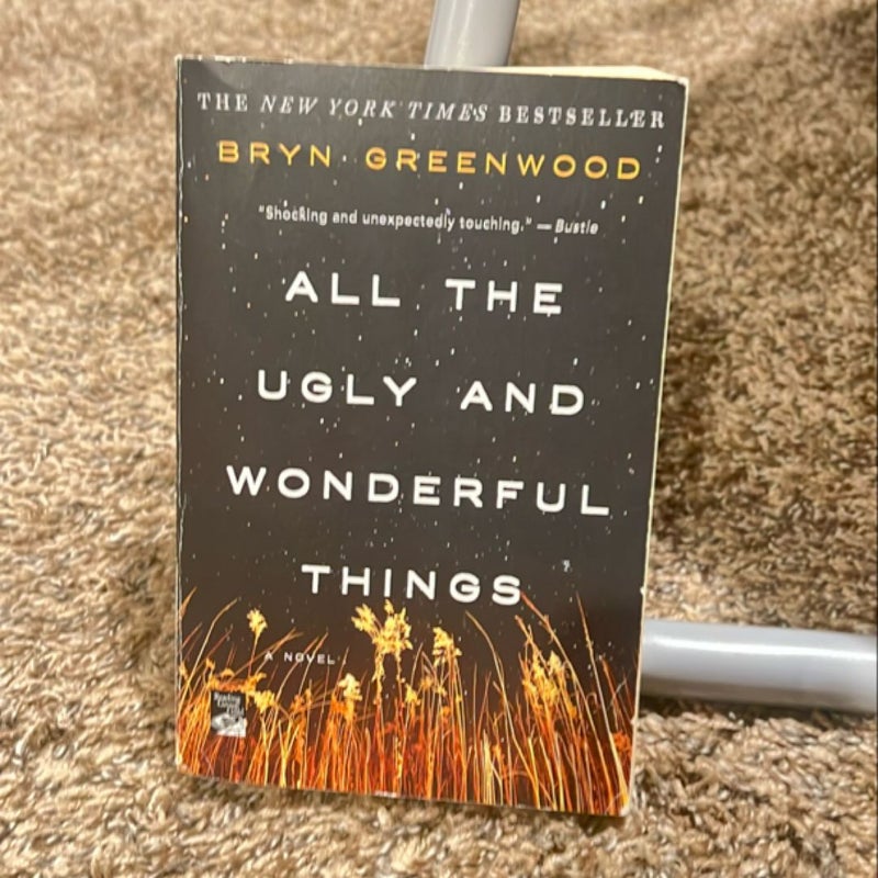 All the Ugly and Wonderful Things