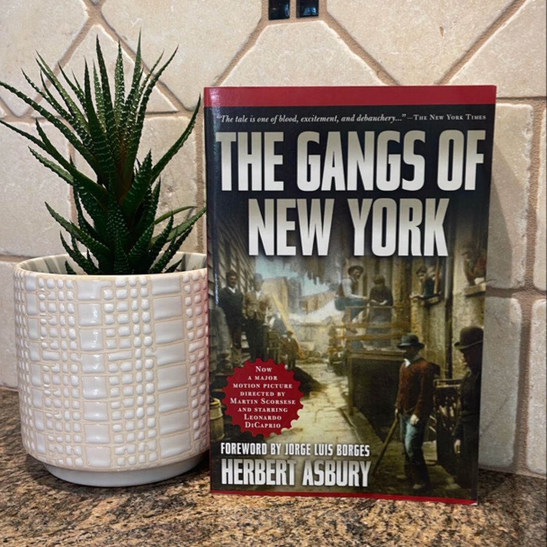 The Gangs of New York