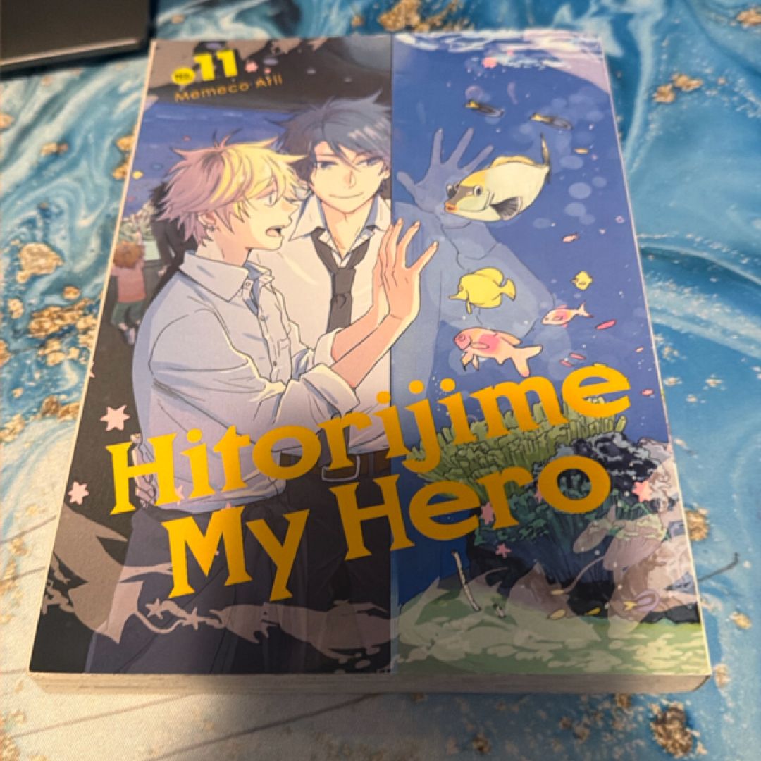 Hitorijime My Hero 11