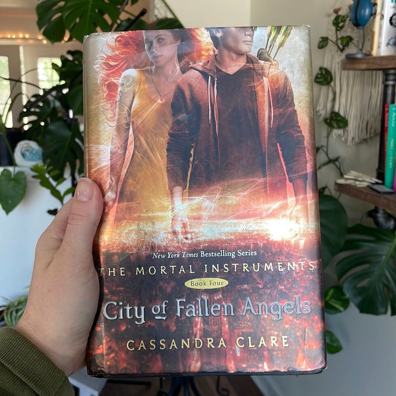 City of Fallen Angels